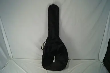Worldwide Shipping Used Maestro GIG BAG Accessories - Guitars