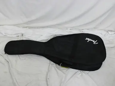 Special Offer Used Fender ACOUSTIC GIG Accessories - Guitars