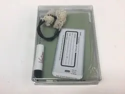 Grab Now Used *Other Brand FLUTE CARE KIT Accessories - Band Instruments