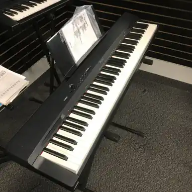 One Day Deal Used Casio PRIVIA PX-160 88-Key Keyboard 88-key