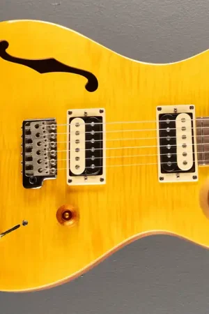 SE Custom 22 Semi-Hollow, '22– Dave's Guitar Shop Same Day Shipping