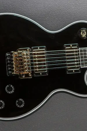 Les Paul Axcess Custom w/Ebony Fingerboard Floyd Rose Gloss - Ebony– Dave's Guitar Shop Viral
