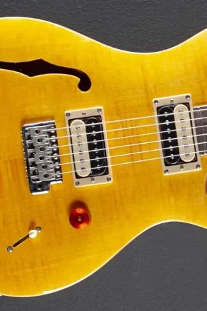 SE Custom 22 Semi-Hollow '22– Dave's Guitar Shop Modern