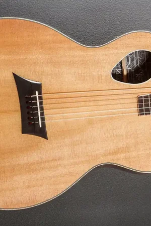 Affordable Triad Port– Dave's Guitar Shop