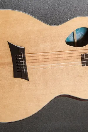 Flash Sale Forte Port– Dave's Guitar Shop