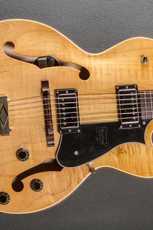 Special Offer Standard Collection H-575 Hollow - Antique Natural– Dave's Guitar Shop