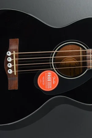 No Minimum Order CB-60SCE Bass– Dave's Guitar Shop