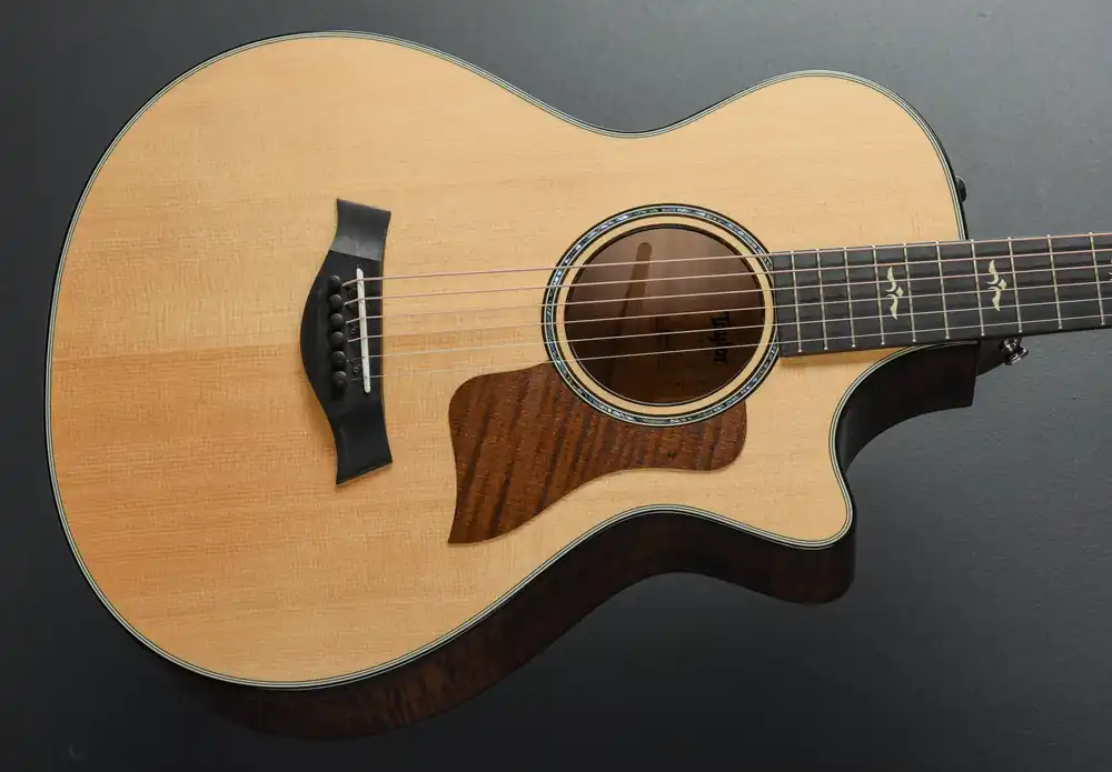 Worldwide Shipping 612CE 12-Fret– Dave's Guitar Shop