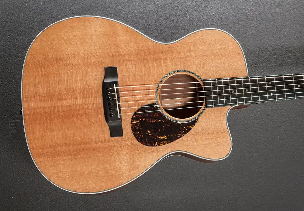Big Sale OMC-16WGTE '01– Dave's Guitar Shop