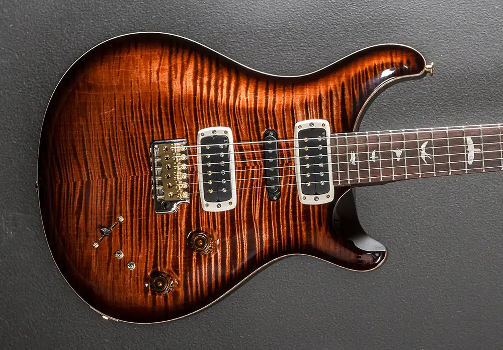 Clearance Modern Eagle V Wood Library Limited - Copperhead Burst w/Brazilian– Dave's Guitar Shop