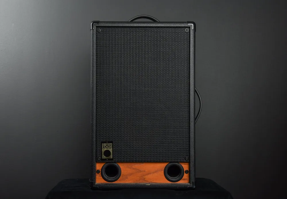 Top Pick Twin 8T 2x8" Cab 'Recent– Dave's Guitar Shop