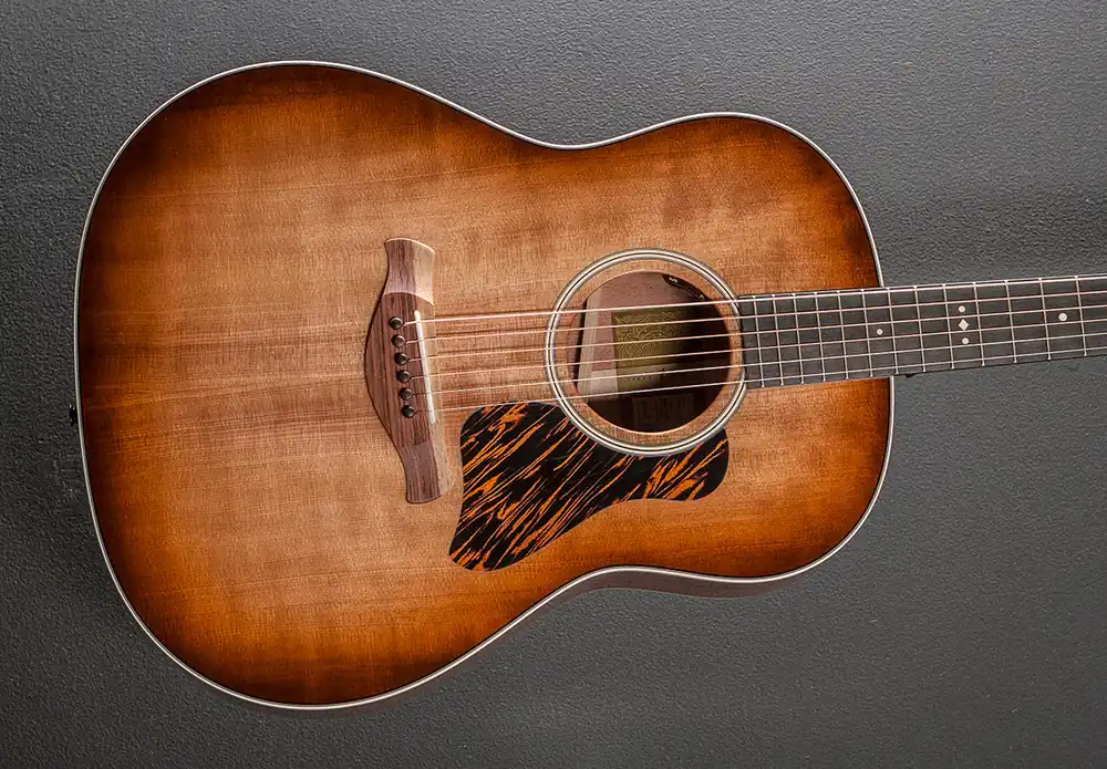 Gold Label 517E SB– Dave's Guitar Shop Low Price
