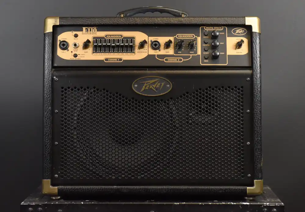 E110 Ecoustic - 100W Combo, Recent– Dave's Guitar Shop Best Price