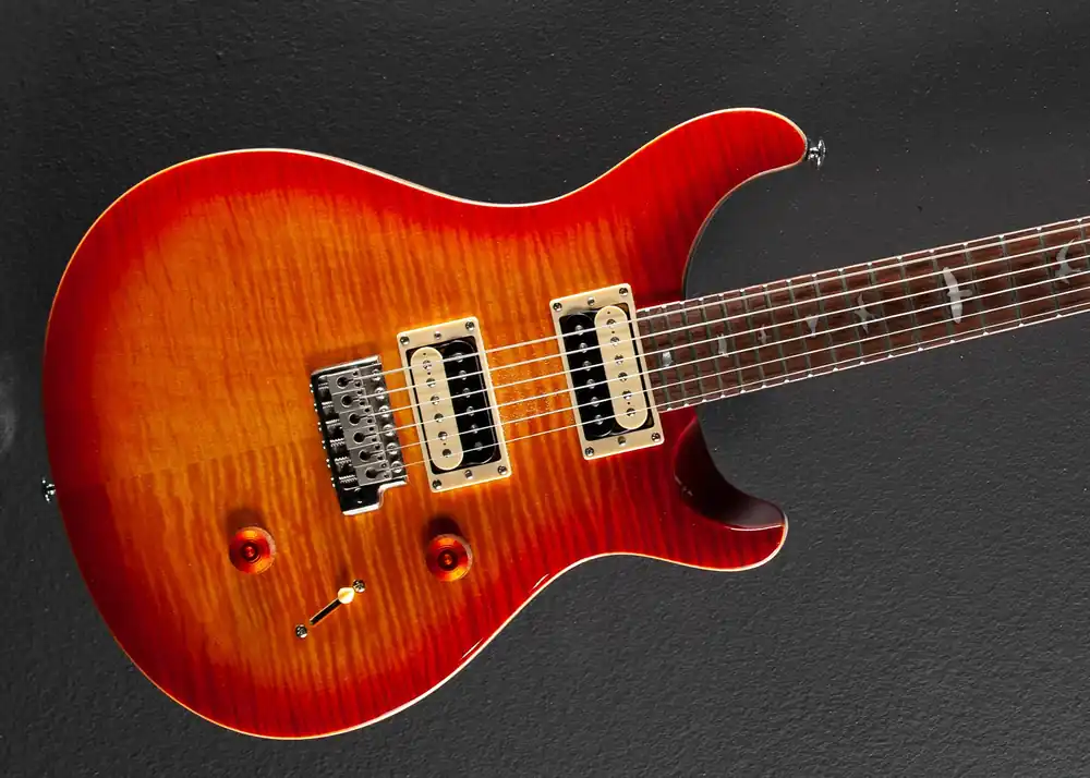 SE Custom 24 '19– Dave's Guitar Shop Last Chance