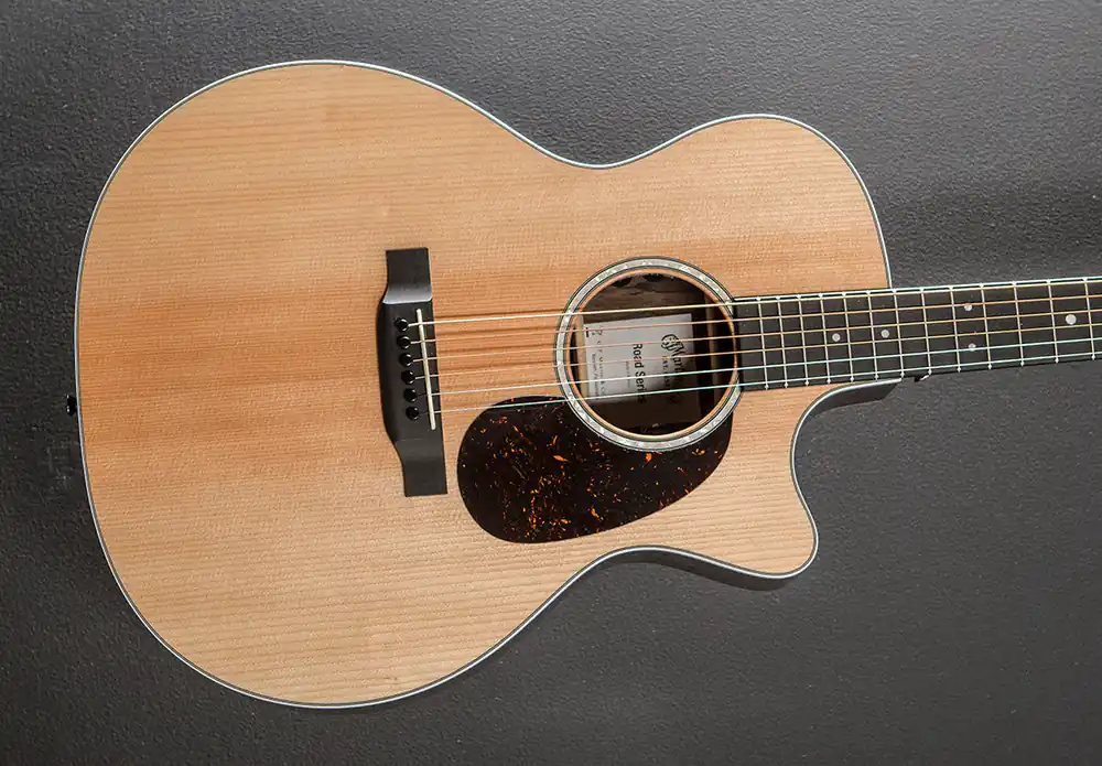 Today Only GPC-13E Ziricote– Dave's Guitar Shop