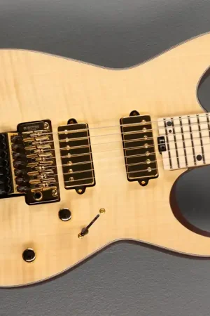 Angel Vivaldi Signature Pro-Mod DK24 GT7 HH– Dave's Guitar Shop Fan Favorite
