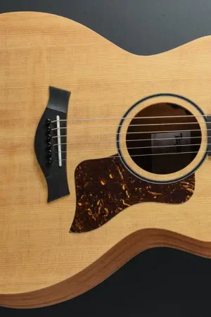 14CE– Dave's Guitar Shop In Demand
