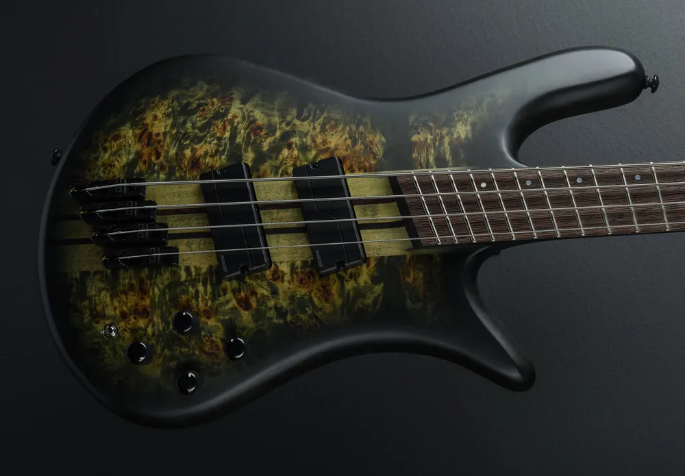 Popular NS Dimension 4 - Haunted Moss Matte– Dave's Guitar Shop