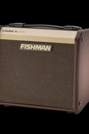 Worldwide Shipping Loudbox Micro– Dave's Guitar Shop