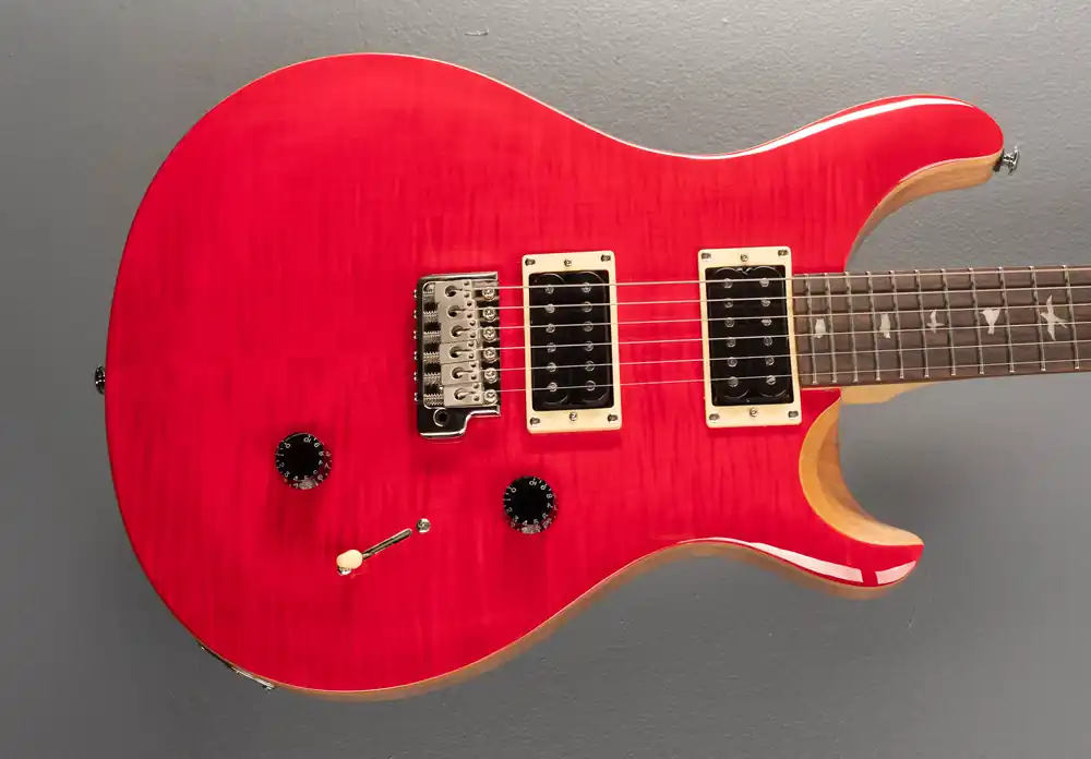 SE Custom 24 '22– Dave's Guitar Shop New Release