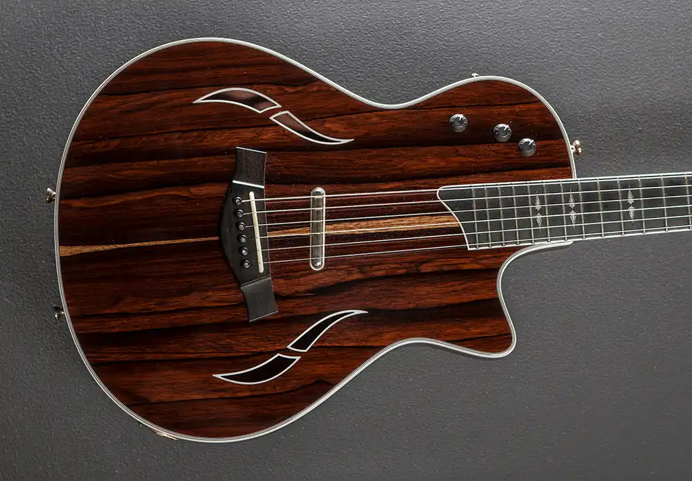 Custom T5Z Rosewood '16– Dave's Guitar Shop Buy Today
