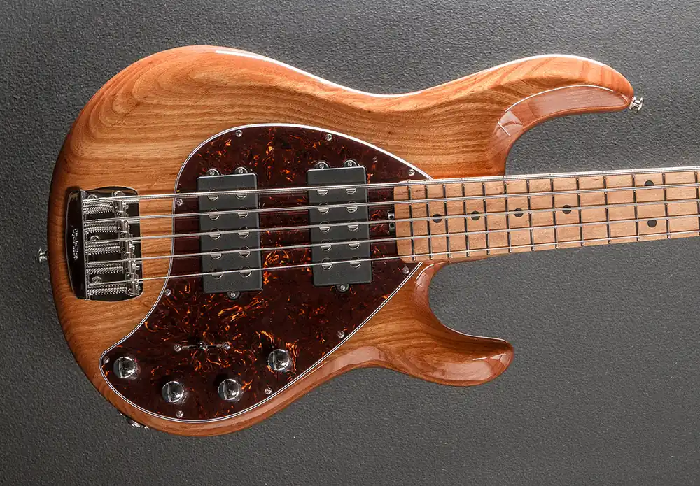 StingRay Special 5 HH Bass - Hot Honey– Dave's Guitar Shop New Arrival