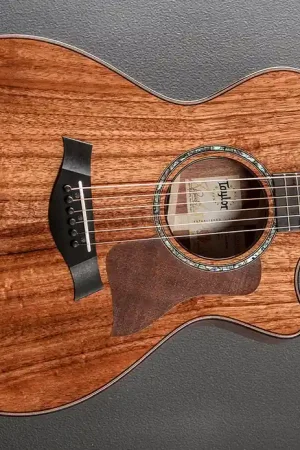 722CE– Dave's Guitar Shop Secure Checkout