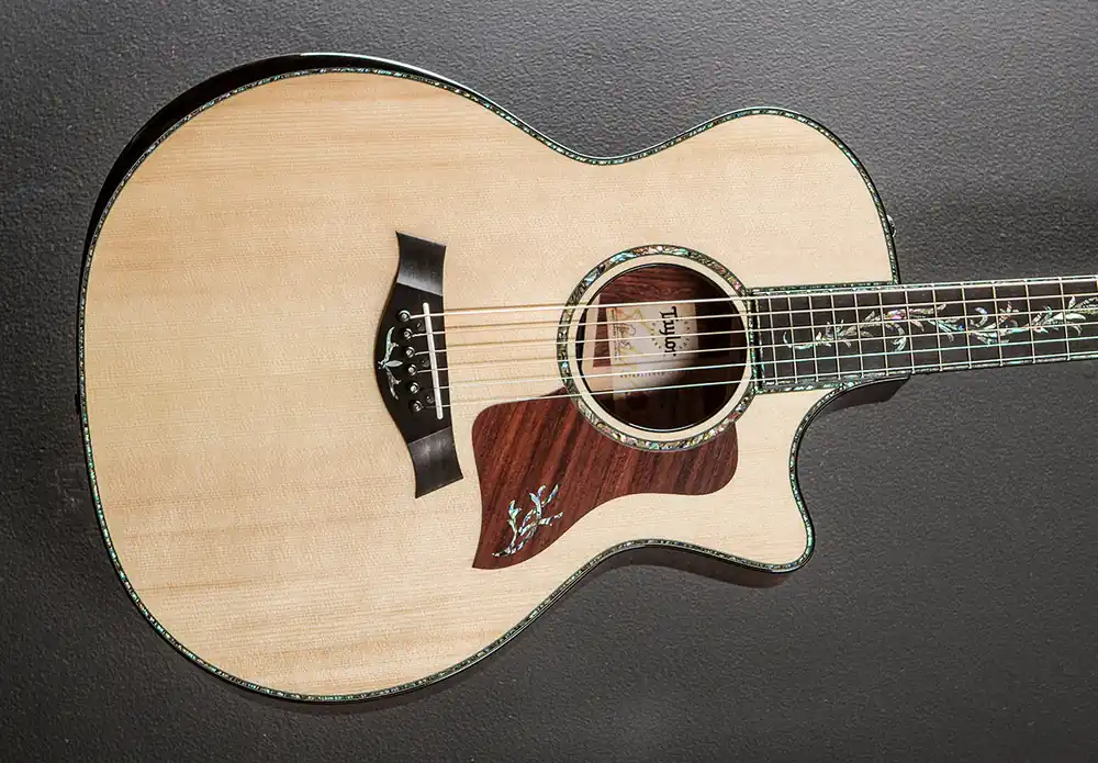 Presentation Series PS14CE '25– Dave's Guitar Shop Hot Picks