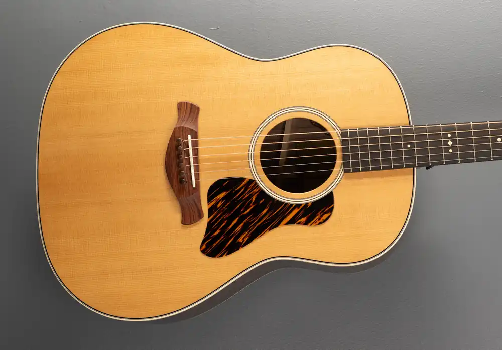 Weekend Sale Gold Label 717E– Dave's Guitar Shop