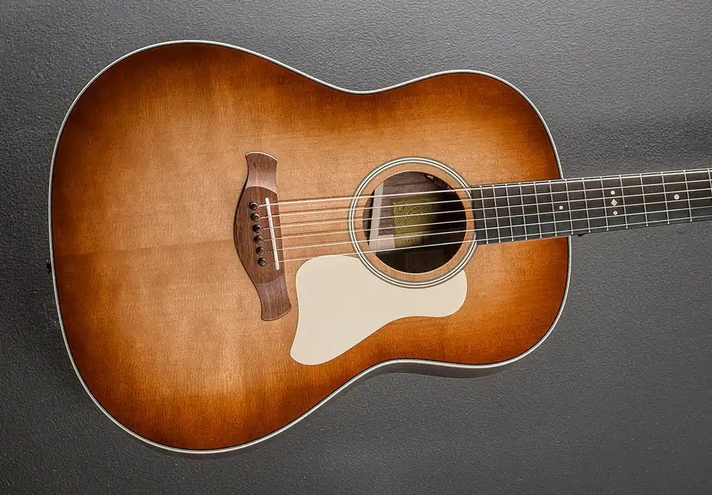Gold Label 717E SB– Dave's Guitar Shop Free Shipping