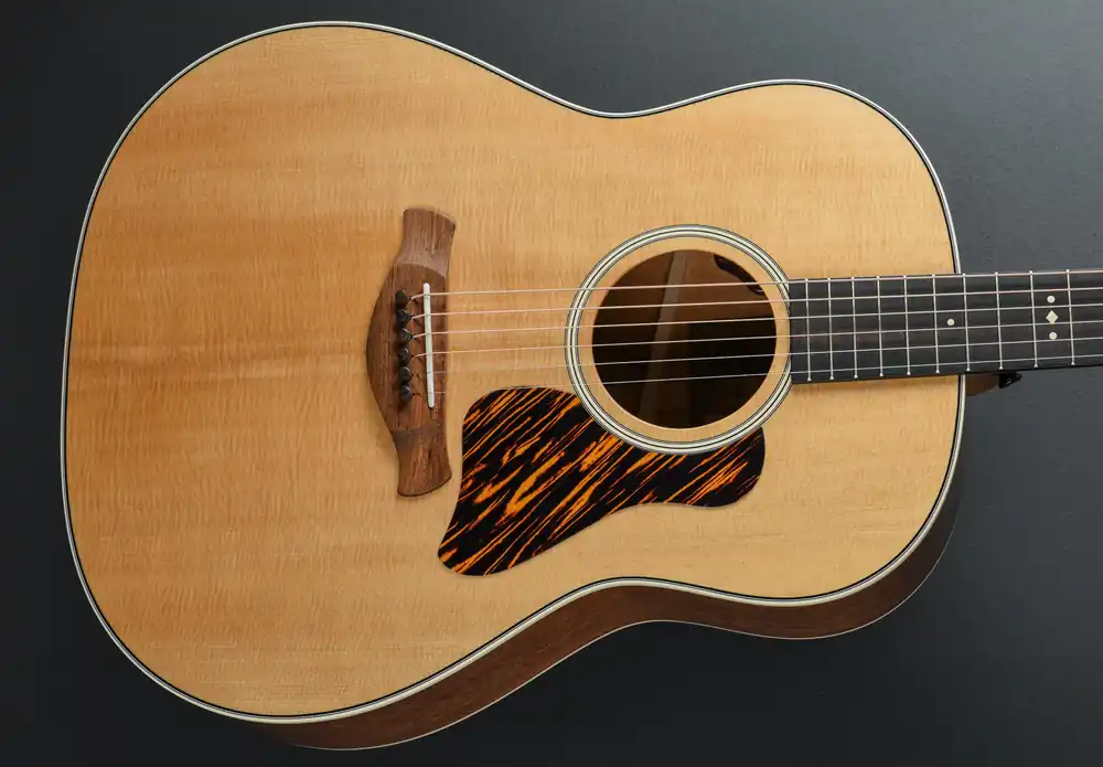 Gold Label 517e– Dave's Guitar Shop Budget