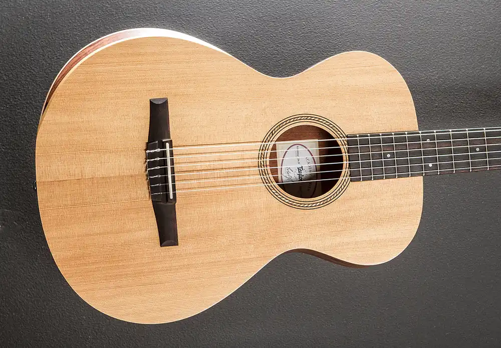 Same Day Shipping Academy 12E-N '25– Dave's Guitar Shop