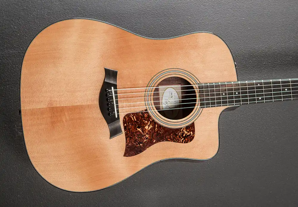 Bargain 210CE Plus '21– Dave's Guitar Shop