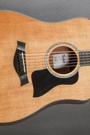210CE Plus– Dave's Guitar Shop Authentic