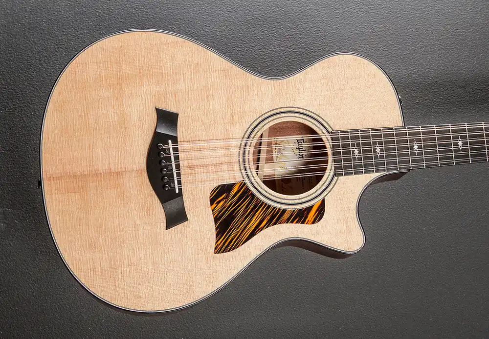 352CE 12 String– Dave's Guitar Shop Factory Price
