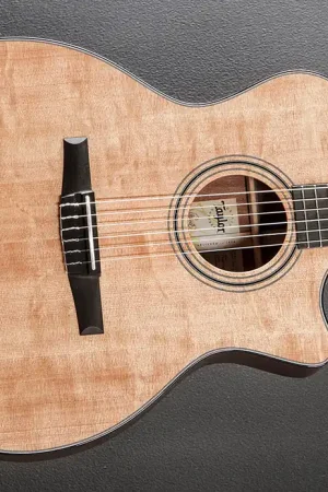 Authentic 314CE-N– Dave's Guitar Shop