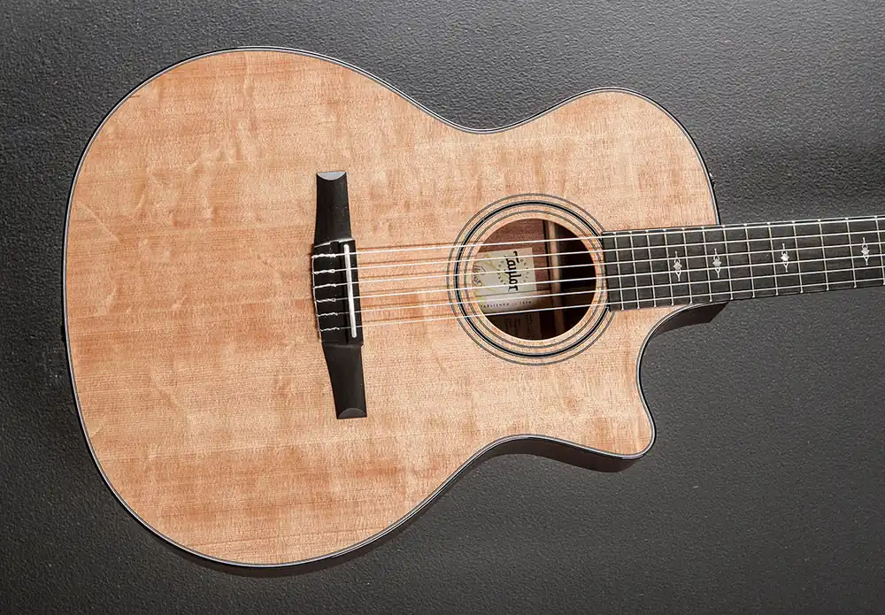 Authentic 314CE-N– Dave's Guitar Shop