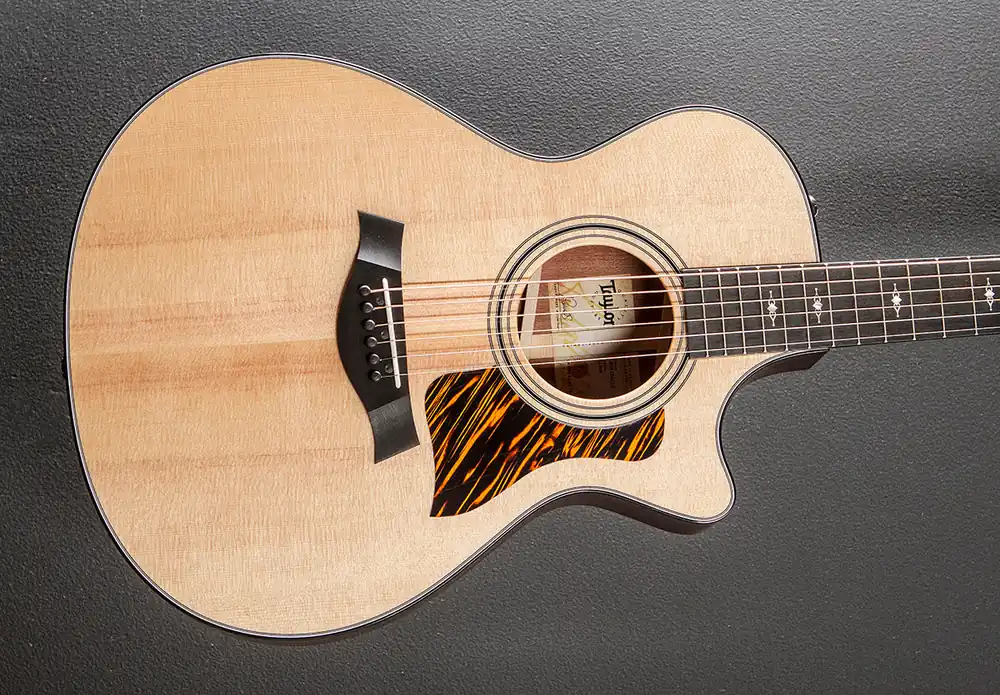 Popular 312CE– Dave's Guitar Shop