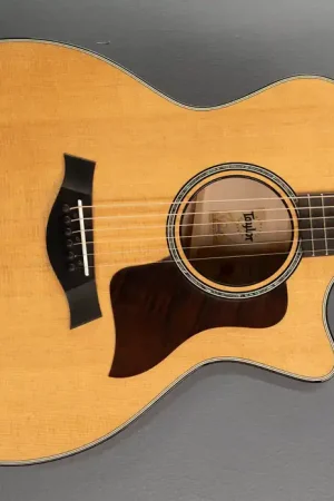 614CE– Dave's Guitar Shop Flash Sale