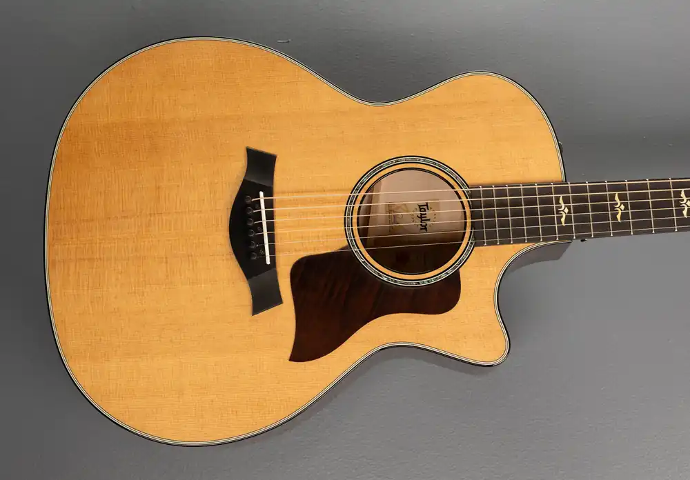 614CE– Dave's Guitar Shop Flash Sale