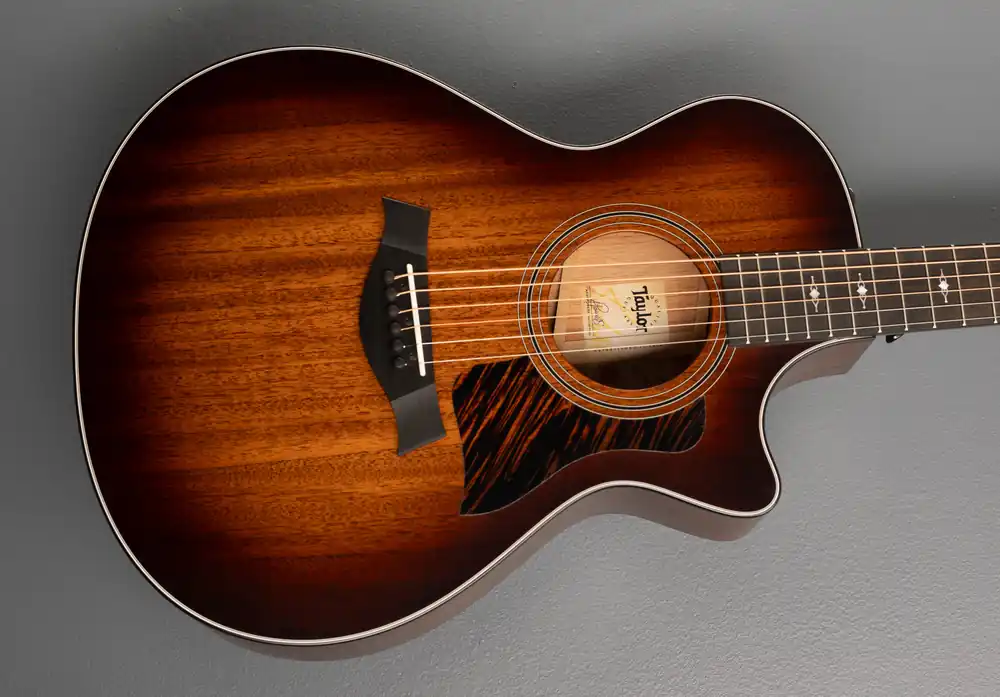 Limited Time 322CE– Dave's Guitar Shop