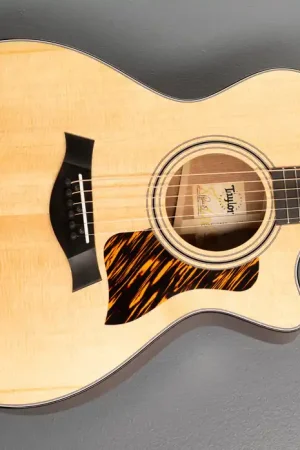 312CE– Dave's Guitar Shop Affordable