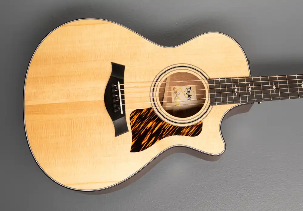 312CE– Dave's Guitar Shop Affordable