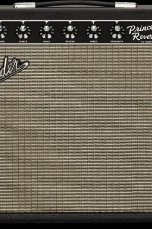 ’64 Custom Princeton Reverb– Dave's Guitar Shop Best Choice