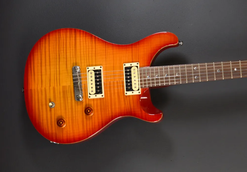 SE Custom 22 '06– Dave's Guitar Shop Secure Checkout