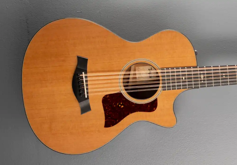 Limited Offer 552CE 12 String '21– Dave's Guitar Shop