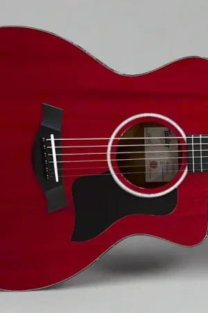 224CE Plus Special Edition '25– Dave's Guitar Shop Best Choice