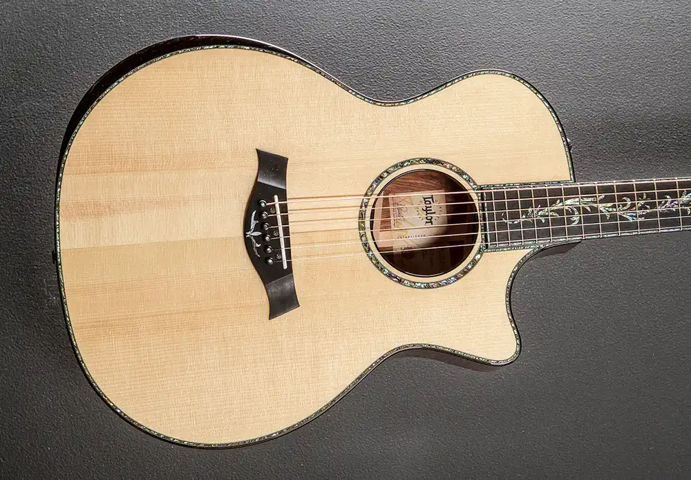Time-Limited Presentation Series PS14CE '23– Dave's Guitar Shop