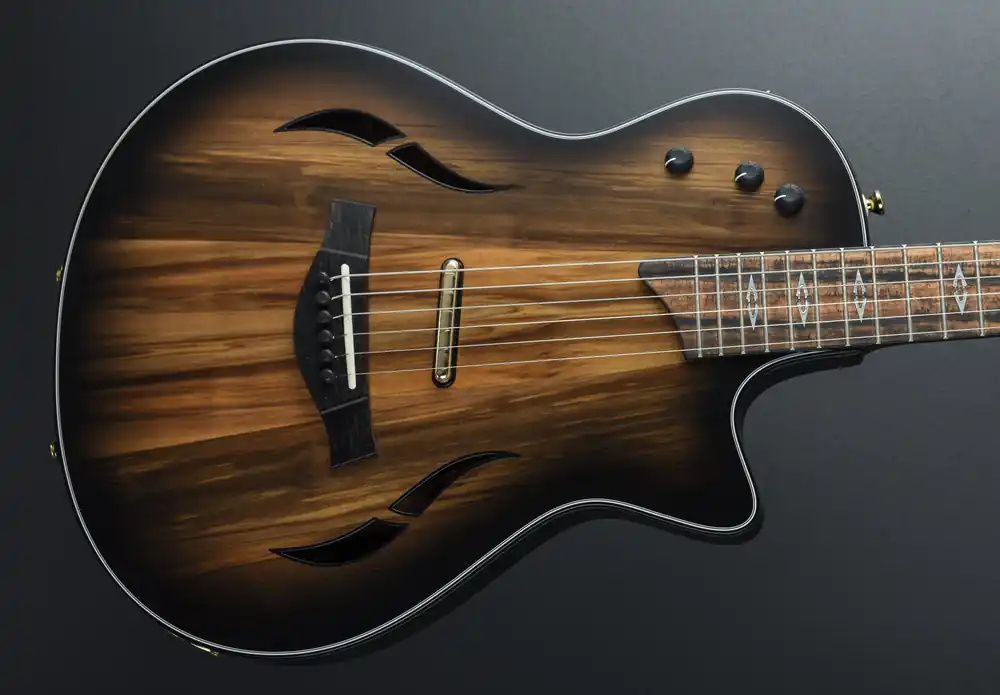 Exclusive "Build to Order" Custom T5Z '22– Dave's Guitar Shop