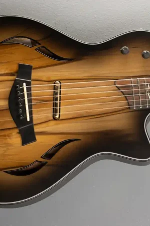 "Build to Order" Custom T5Z '22– Dave's Guitar Shop Buy Online